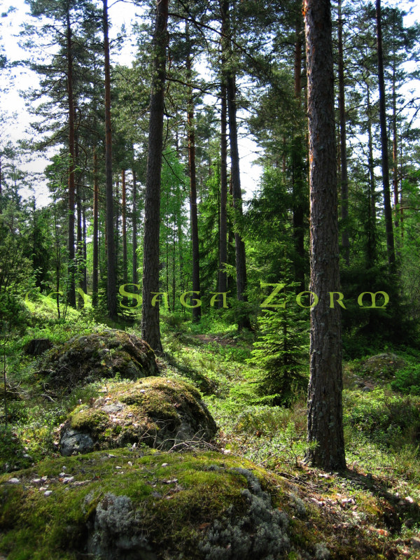 kipervuori5 (287K)