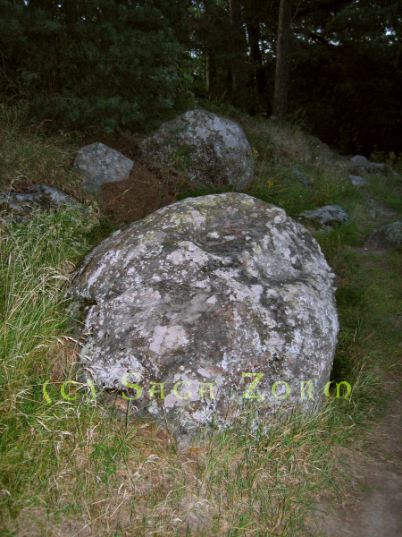 komonen11 (127K)