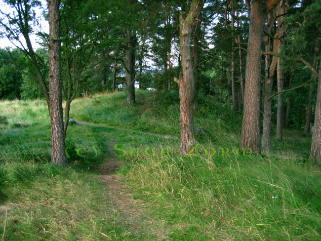 komonen8 (169K)