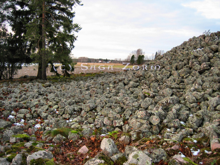 kuninkaanhauta5 (215K)