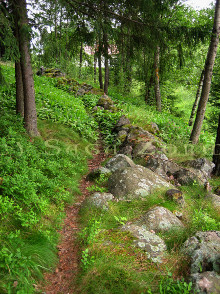 muikunvuori2 (167K)