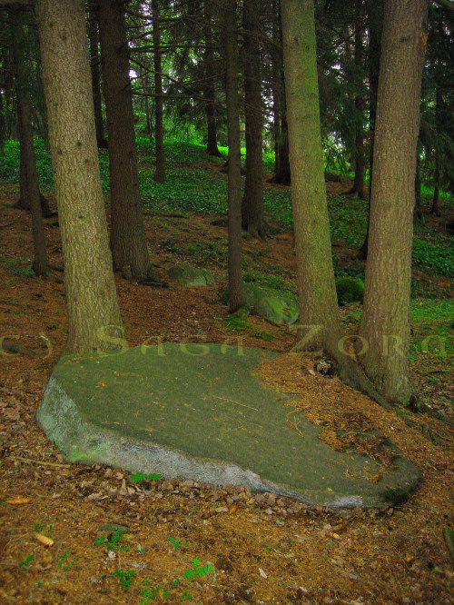 muikunvuori3 (171K)