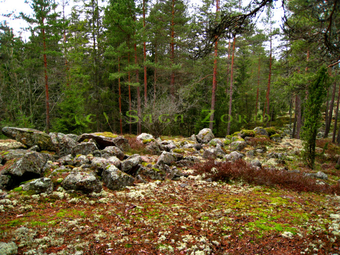 nakolinna6 (251K)