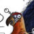 aaa_khranpirate (1K)
