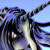 b_snapepony (2K)